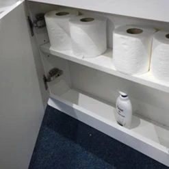 Trojan Repono 1675mm Single Ended Bath + Storage Panels 10 Trojan Repono 1675mm Single Ended Bath + Storage Panels -Bathroom Baths Shop Trojan Repono 1675mm Single Ended Bath d3 460